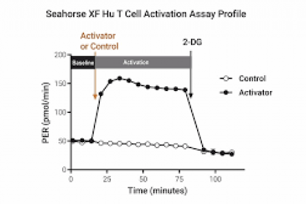 Seahorse XF Hu T Cell Activation Assay Kit