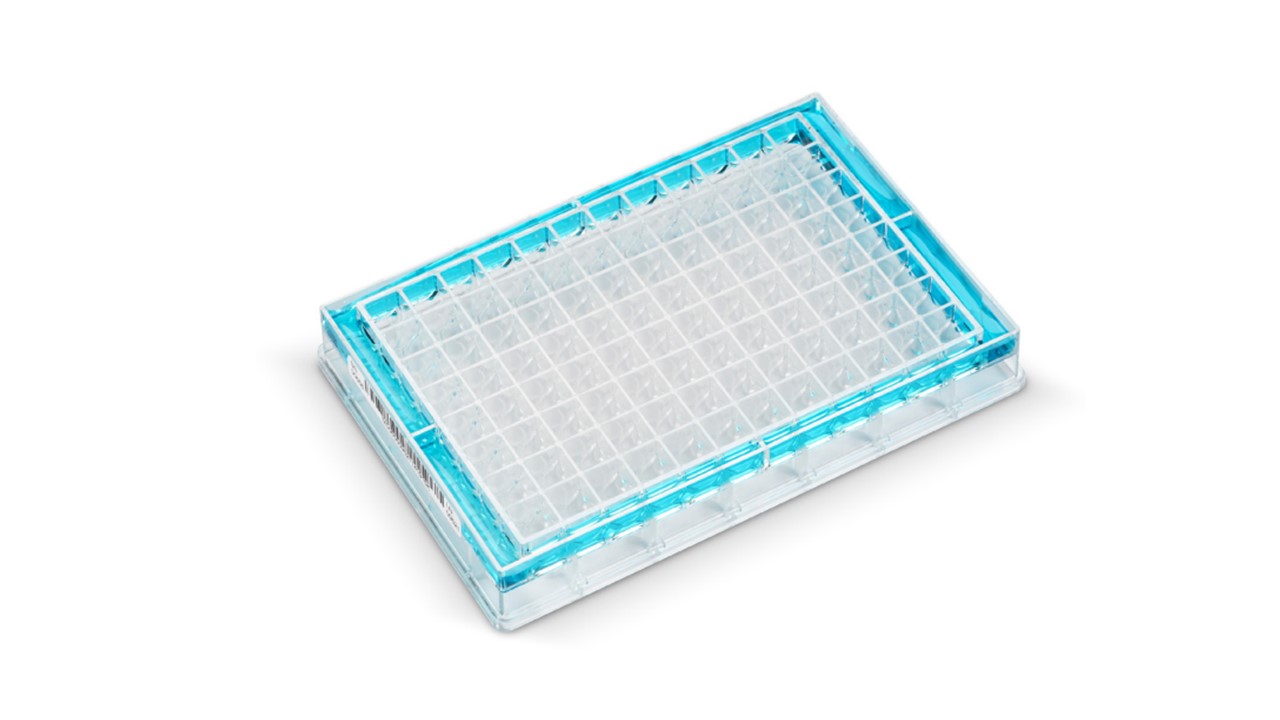 Agilent Seahorse XF Pro M Cell  Culture Microplate