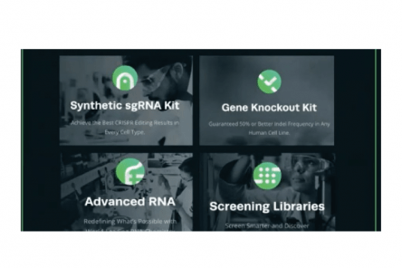 CRISPRevolution – syntetické sgRNA pro genovou editaci 