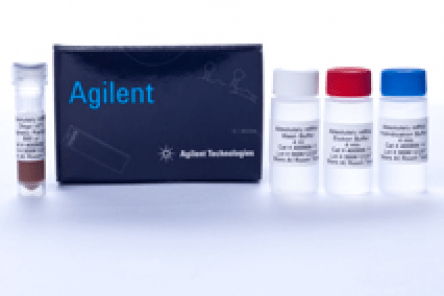 Absolutely RNA Purification Magnetic Bead