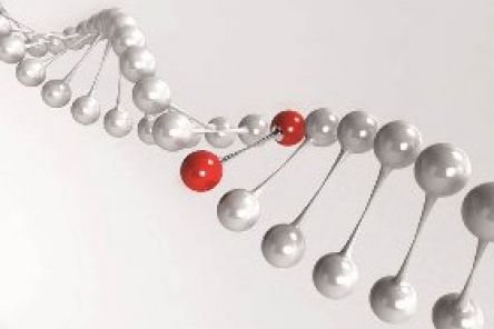 Příprava genomové DNA ze slin a výtěrů