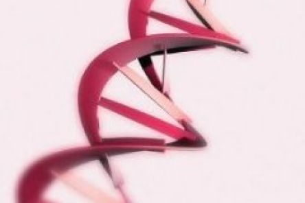 Ceny produktů STRATEC Molecular 