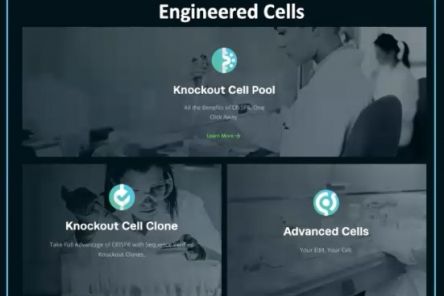 Engineered cells – buněčné linie podle Vašich představ