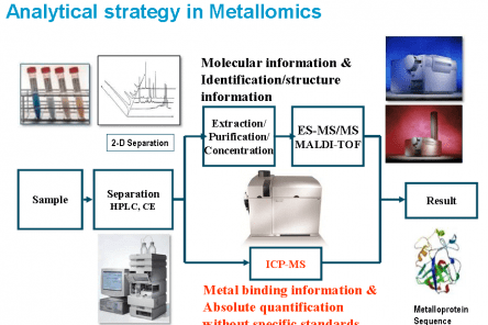 ICP/MS/MS - Metallomics