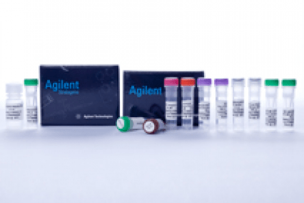 miRNA QRT-PCR Detekční Kit