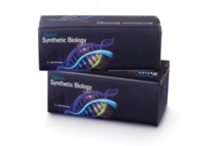 SureGuide gRNA Synthesis Kits