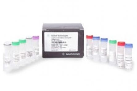 Low Input Quick Amp WT Labeling kity