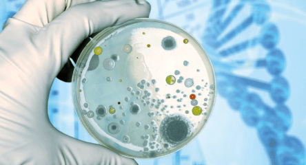 Vybavte si svoji mikrobiologickou laboratoř 