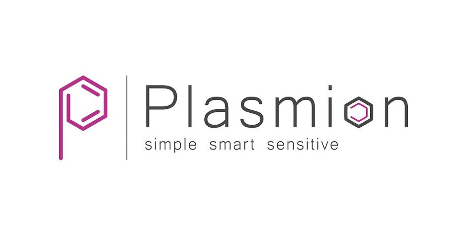 Plasmion