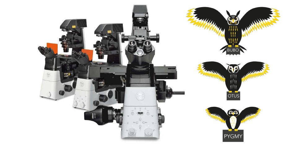 Mikroskopy Nikon - Soví řada