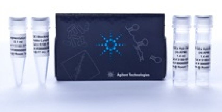 Hybridizační kity pro genovou expresi