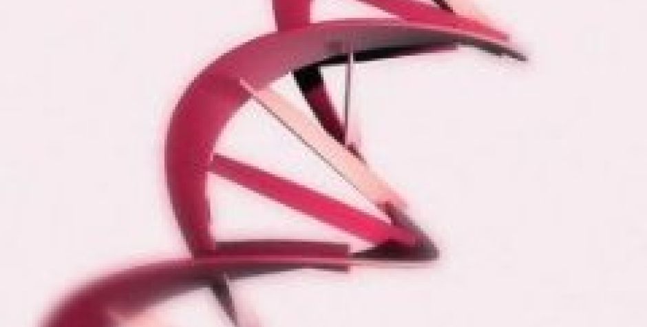 Ceny produktů STRATEC Molecular 