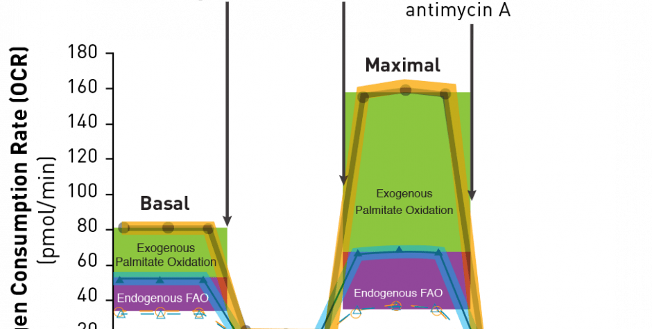 Seahorse XF Palmitate-BSA FAO Substrate