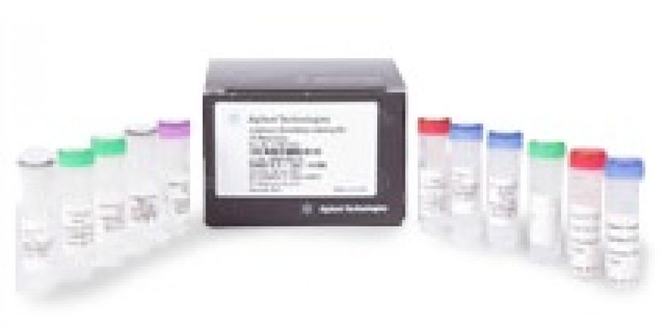 Low Input Quick Amp WT Labeling kity